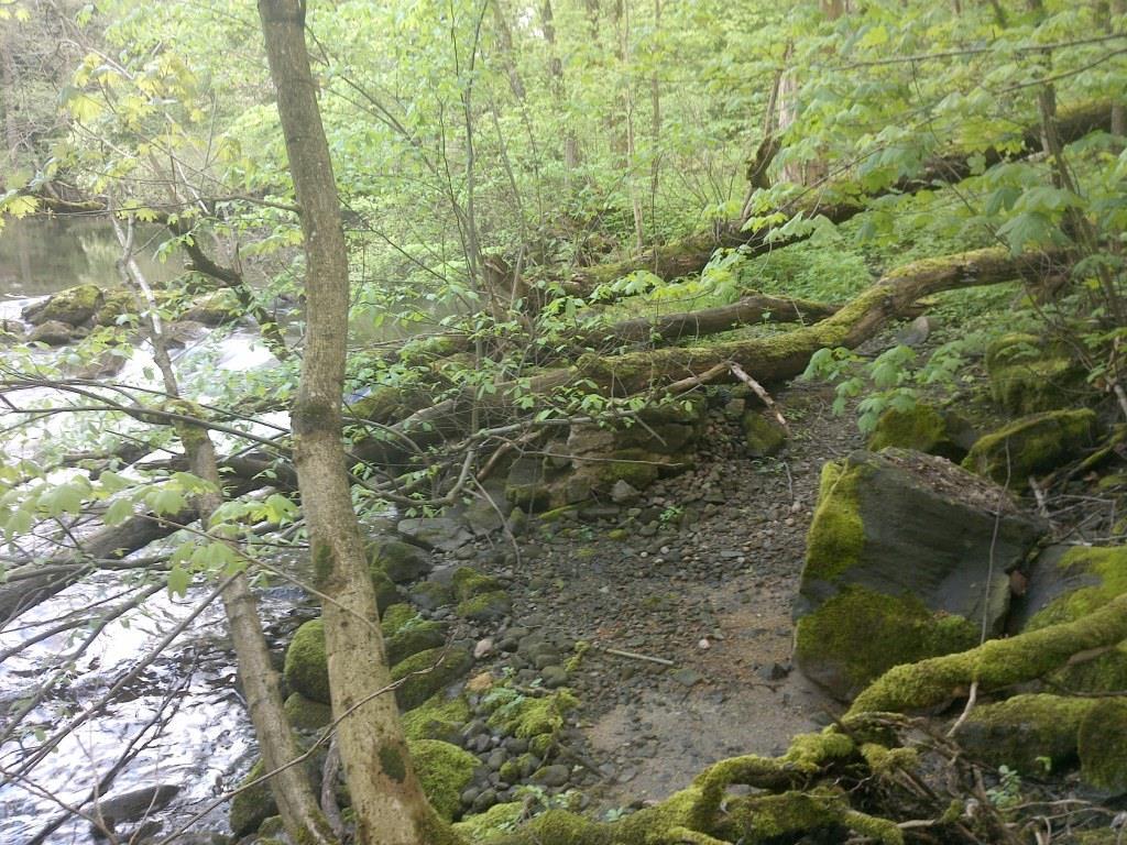 ID: NV_LR_06 Namn: Södra stranden uppströms järnvägsbron Naturvärdesklass: 3 påtagligt naturvärde Naturtyp: Skog och träd.