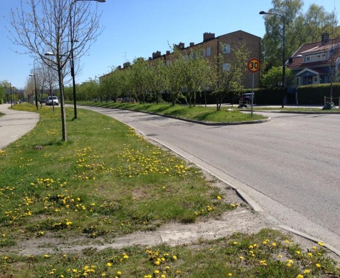 Bilden nedan th är tagen