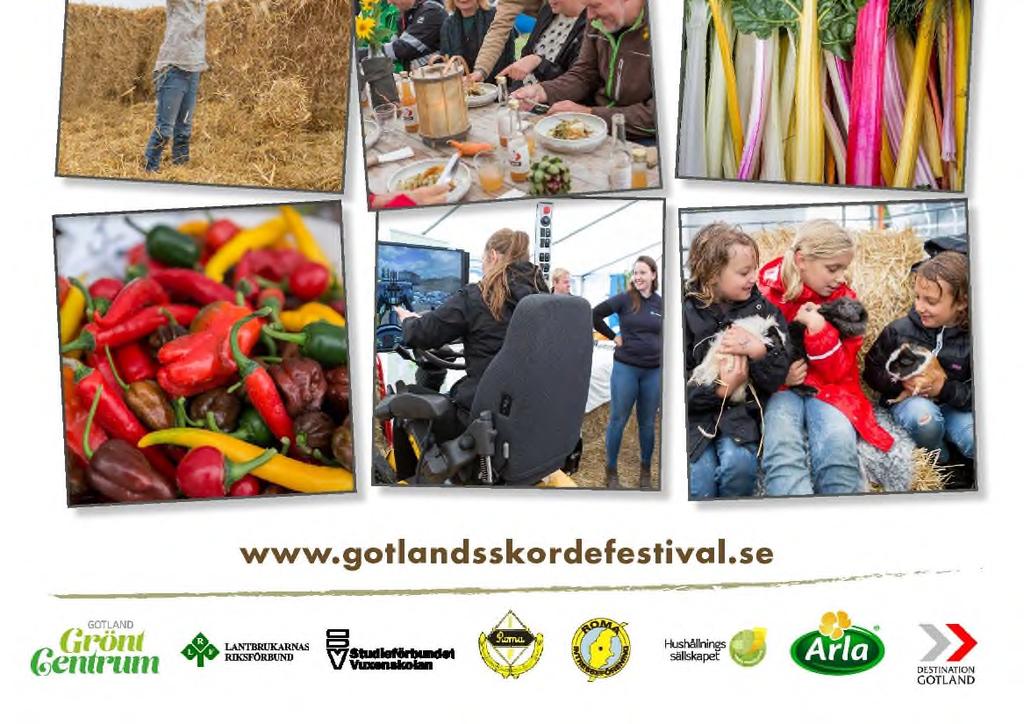 regn. År 2018 genomförs