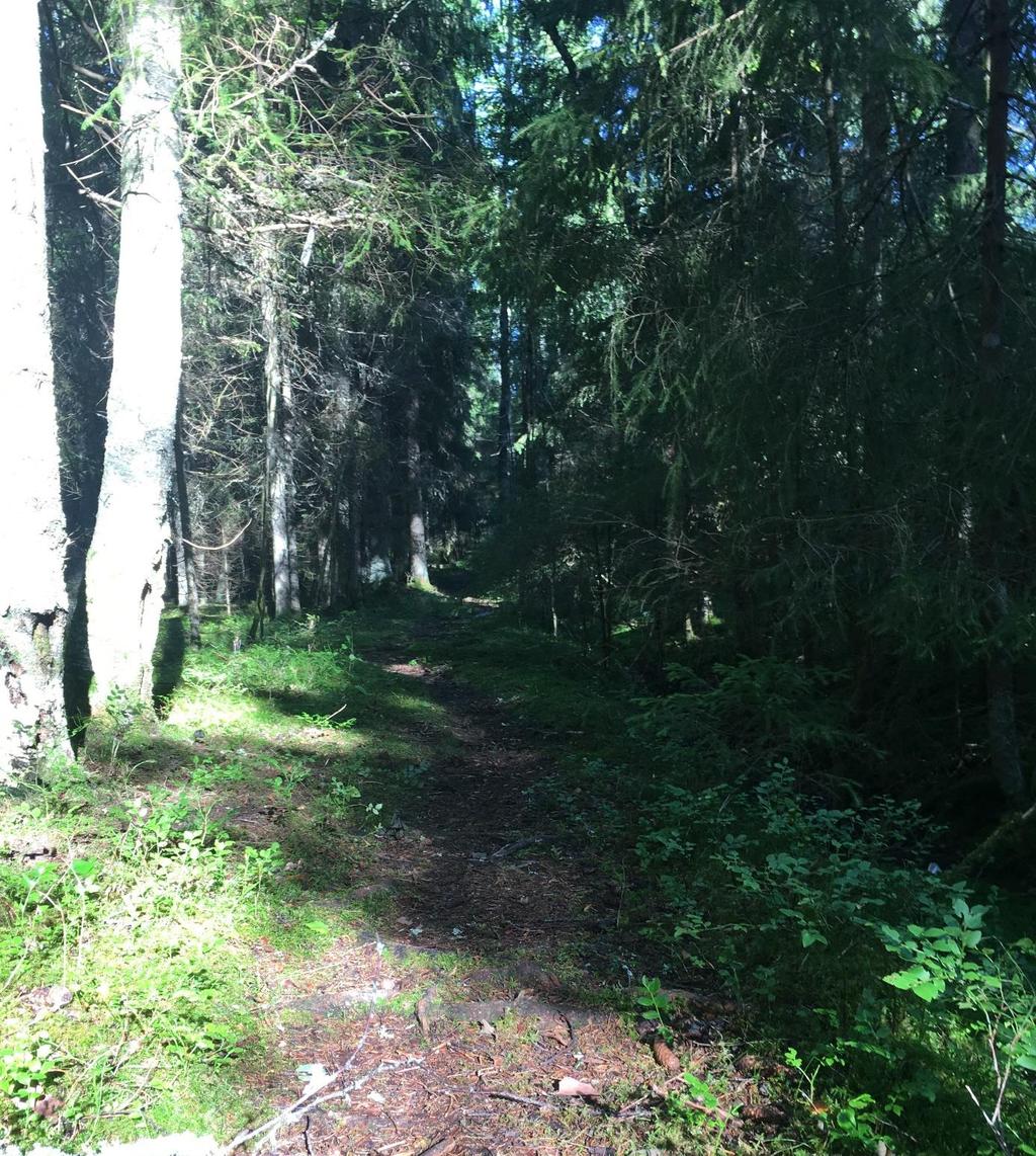Figur 8. Utredningsområde B med påträffade objekt, boplatslägen och täktat område markerat. Skala 1:2500.
