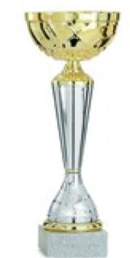Riktlinjer för Placeringspriser 2018/2019 Pokaler/Plaketter/Medaljer/Utlottning Alla klubbar har enades om följande prisuppsättning på våra tävlingar. Pokaler skall vara av måttfull karaktär.