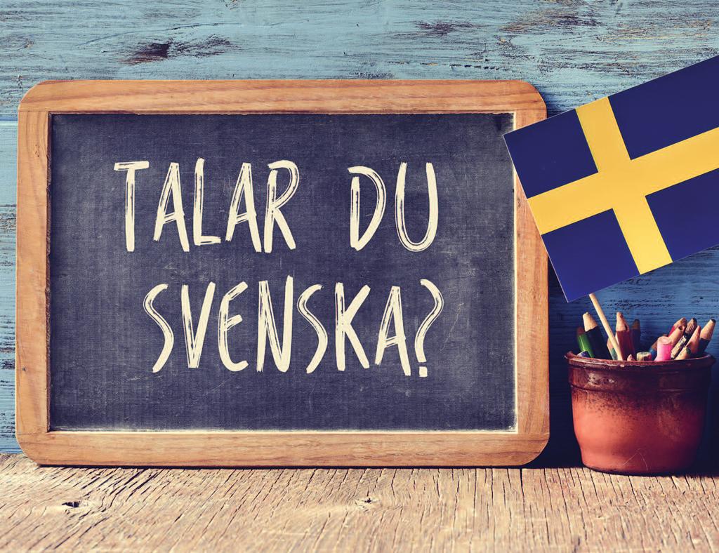 kameror, framför allt i våra centra och vid fritidsgården. Grannsamverkan, Nattvandrarna och andra projekt ska stödjas.