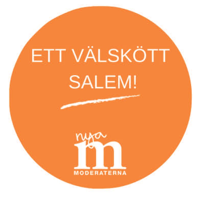 Trots detta måste vi från kommunledningens sida trycka på för att vår kommun ska få sin del, t ex vid vågor av bostads- och bilinbrott.