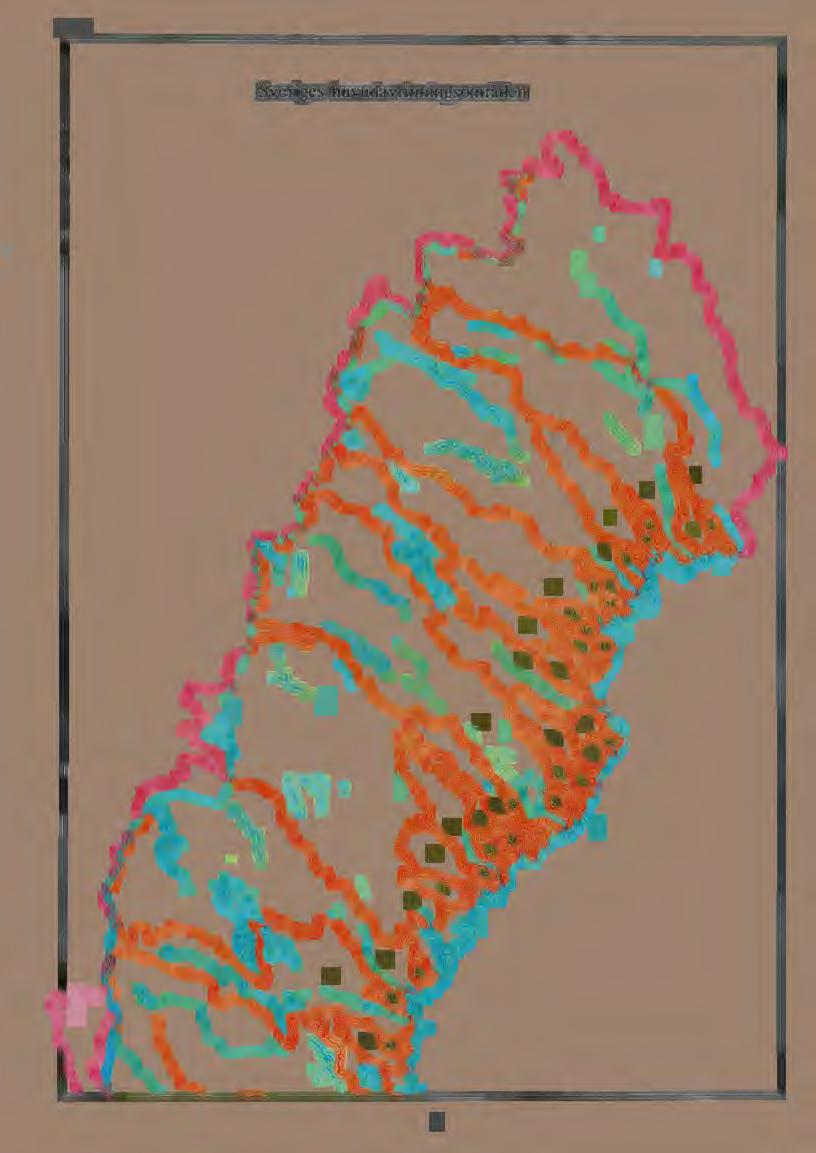 huvuda -