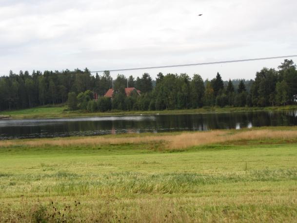tillägg sötvattensstränder För sötvattensstränder kan även kartskikt med jordbruksmark och hyggen (upp till 10 år gamla) användas som underlag.
