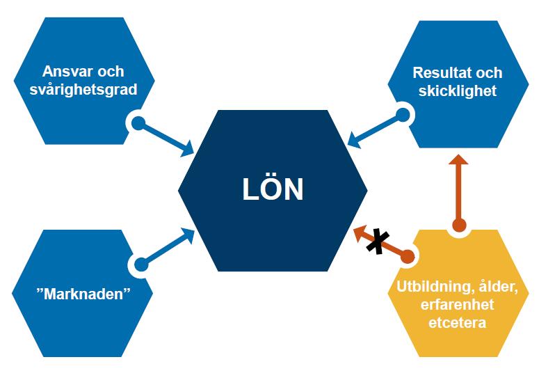 Lönerevision för våra olika fackförbund olika avtal Saco-S (tillsvidare) Lönesättande samtal som huvudväg (tidsbegränsat undantag för UH sektorn tom 2015)