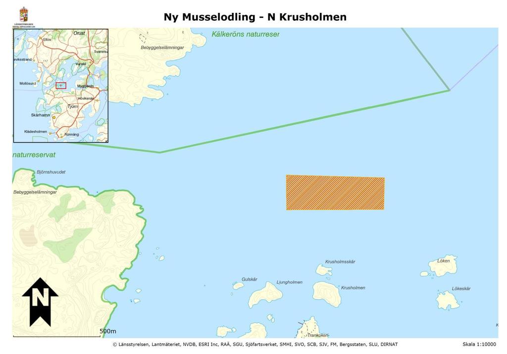 Musselodling Stigfjorden Ny musselodling strax öster om Björnshuvudet, ca 300