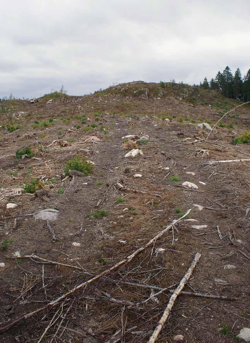 Rösen och boplats mellan berg och våtmark