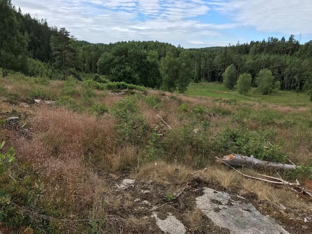 12 (18) 4. Söder om Davids väg 23. Bild tagen mot syd, inom detaljplaneområdet (delområde D). Granit.