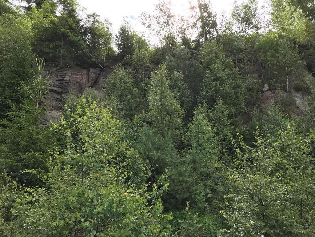 14 (18) 6. Bergsbranten, södra delen. Bild tagen mot öst, inom detaljplaneområdet (delområde D). Granit.