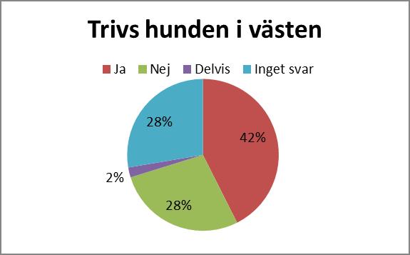 Trivs hunden i västen Av de 49 som svarade upplevde 42% att hunden trivdes i västen, men att det tog ett tag för hunden att vänja sig vid den.