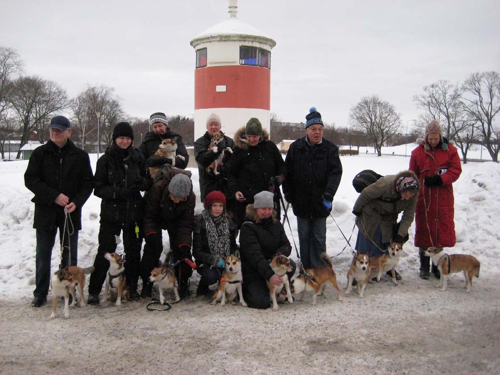 Lundehundsträffen Stockholm 17 januari blev väldigt lyckad. Uppslutningen var stor 16 lundehundar med mattar och hussar kom. Dessutom kom ca 10 personer som bara var nyfikna på vår charmiga ras.