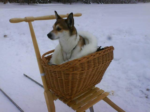 Hej, kära Lunnevänner! Ibland händer saker som helst inte får hända, men de händer ändå. Som när jag förra vintern halkade på en översnöad vattenpöl.