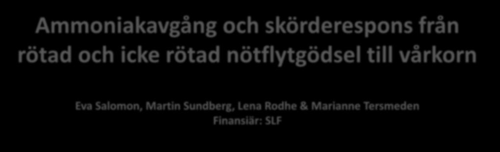 Eva Salomon, Martin Sundberg, Lena Rodhe &