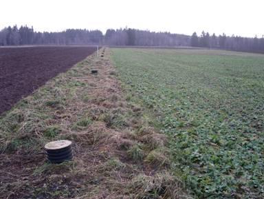 213-3-19 Götala Sandig lättlera (14% ler) Kontakt: Lena Engström 27 rutor (6 * 1 m) med 3 sugceller per ruta, men plats för 3 m långa försöksrutor.