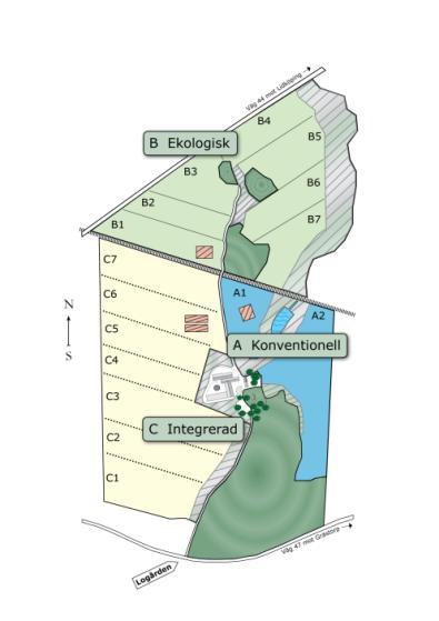 213-3-19 Logården Hushållningssällskapet Skaraborg Utveckling av odlingssystem på lerjord Kontakt: Maria Stenberg Konventionell (A), ekologisk