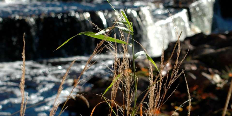 NATUR- OCH KULTURMILJÖ Skyddade områden