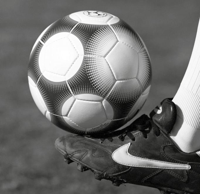 Cup 2017