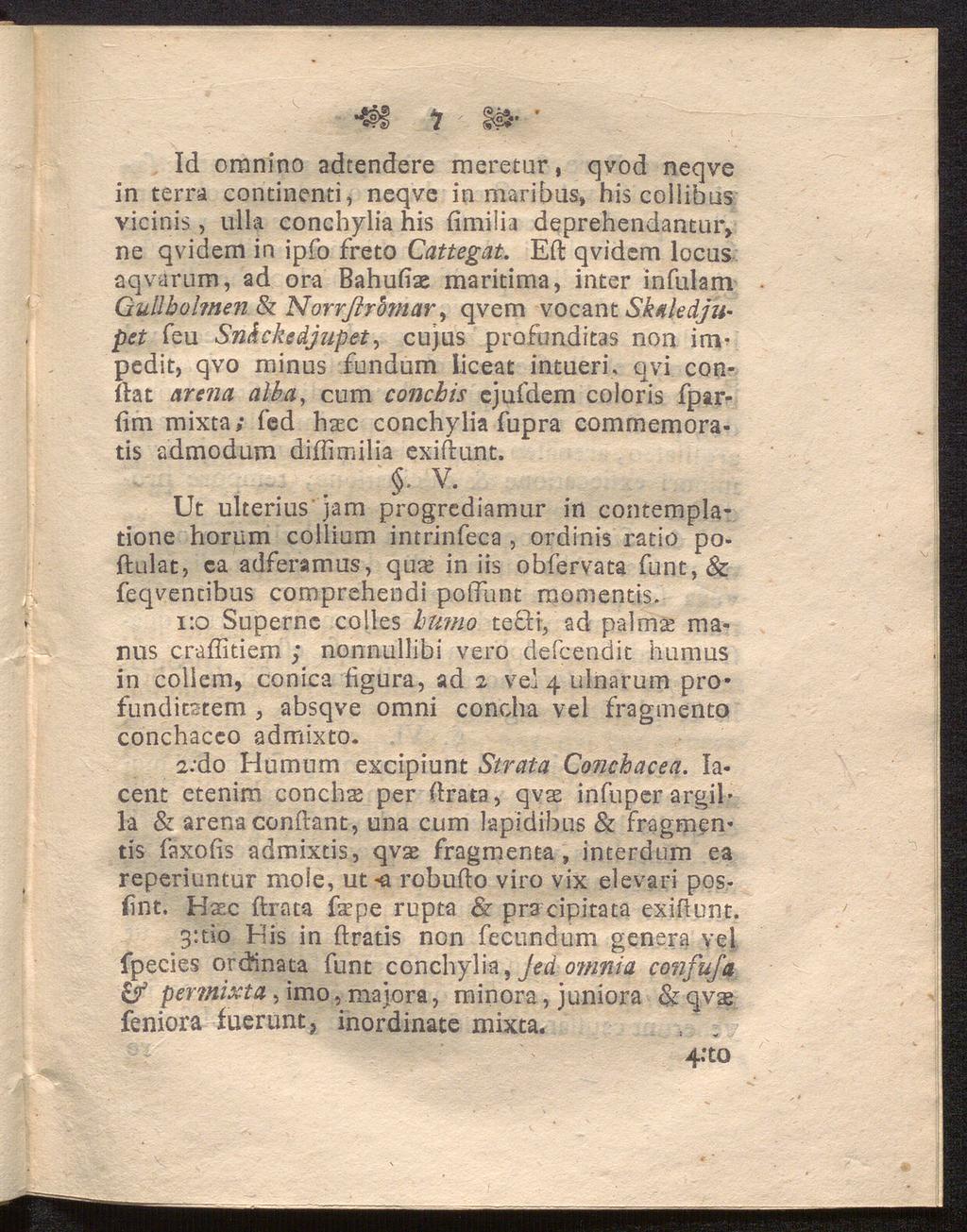 4?f "j < 3» Id oranino adtendere meretur, qvod neqve in terra continenti, neqve in maribas» his collibus vicinis, ull a conchylia his fimilia deprehendantur, ne qvidem in ipfo freto Cattegat.