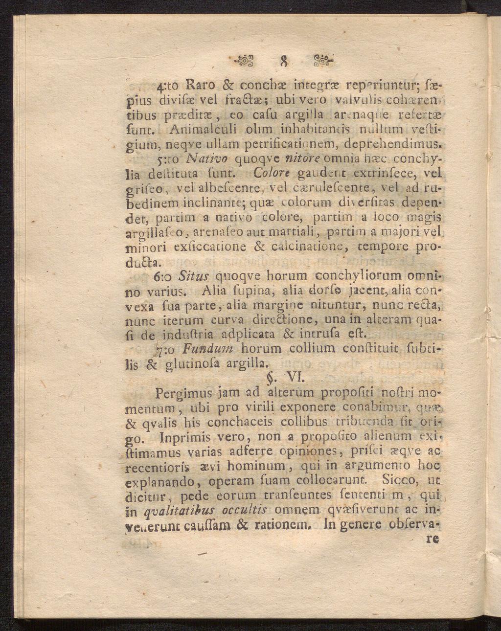 4!to Raro & conchae integrce rcp>riuntur; faepuis divifae yel iraq#; ubi vero valvubs cohaerem tibas pr&dirae, co cafu argi'la ar.naqi e reiertse func.