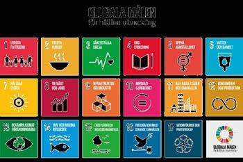 Slutsatser Grundläggande för Agenda 2030 är den holistiska ansatsen och det breda ägarskapet Integrerade och komplexa frågor som kräver samverkan Agenda 2030 är ett tydligt och användbart