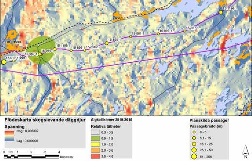 Inom utredningsområdet fanns ett femtiotal st nyckelbiotoper, det vill säga mindre skogsområden som generellt har naturvärdesklass 2.