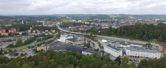 11 MILJÖFÖRUTSÄTTNINGAR, MILJÖKONSEKVENSER OCH ÅTGÄRDER Östra delen Från Viareds verksamhetsområde och fram till Borås tätort skulle en järnväg utgöra en betydande tillkommande barriär i landskapet.