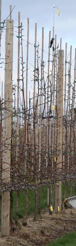 0,31, totalt 2,5 l/rad en körs med reducerat varvtal till 400 varv på traktorns kraftuttagsvarv vilket ger luftmängd 18000 m 3 /h # reglering en är på från båda håll Körhastighet (km/h) 6,7