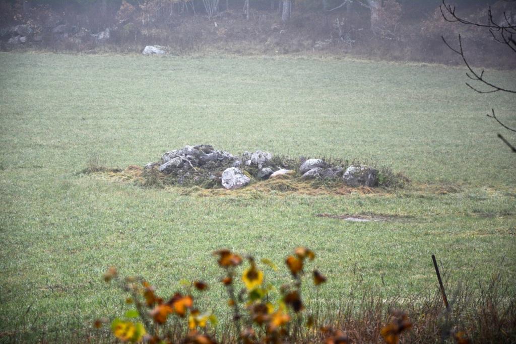 Oskarshamn Lämmedal 1:7 Om Skog & Lantbruk Skog & Lantbruk är ett rådgivningsföretag som arbetar med följande tjänster inom jord och skog: - Fastighetsförmedling - Generationsskifte -