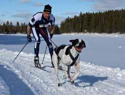 Ett stort tack till våra sponsorer! Foto Västerbottens Älghundklubb www.draghundsport.