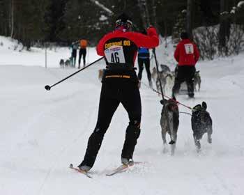 Svenska Draghundsportförbundet Draghundsport i organiserad form bedrivs av Svenska Draghundsportförbundet (SDSF) som bildades 1987.