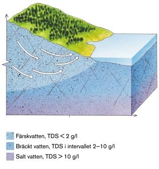 8.4 Total salthalt (TDS) 8.4.1 Beskrivning av parametrar och deras inverkan på funktioner Den totala salthalten (TDS dvs Total Dissolved Solids ) påverkar främst bentonitens stabilitet och sorptionen av radionuklider.