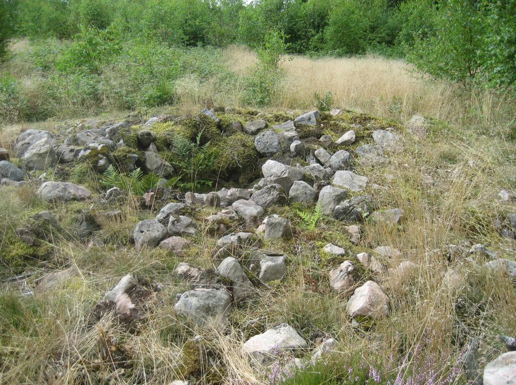1. GRAVRÖS Upplagt stenrös, ca 9 m i diameter, åldersdaterat till bronsålder (1500 f Kr). Inventerat och dokumenterat av Riksantikvarieämbetet 1999 RAÄ-nr: Traryd 99:1 2.