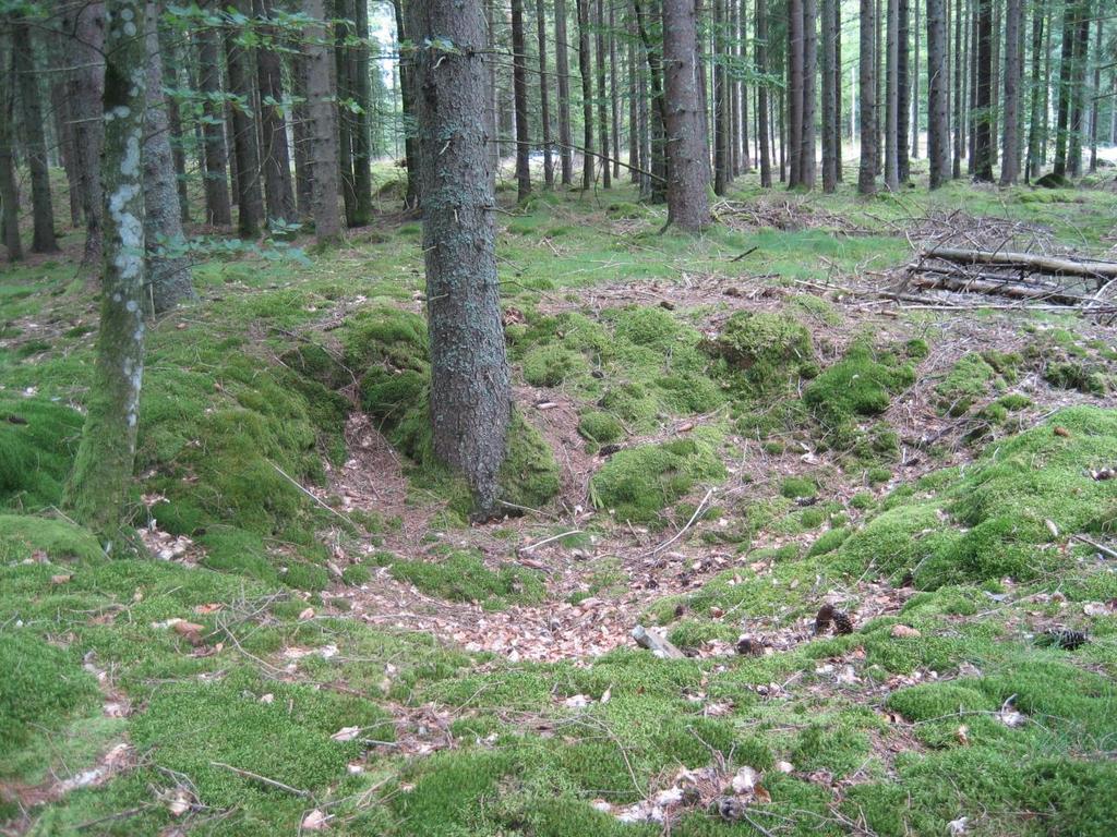 3. GRUSTAG Utdikning och uppodling av mossmark påbörjades i stor omfattning in på 1800-talet. Befolkningen ökade och det var brist på odlingsmark.