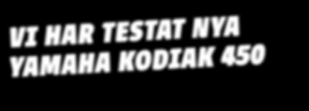 Kodiak 450 EPS - TGB Blade
