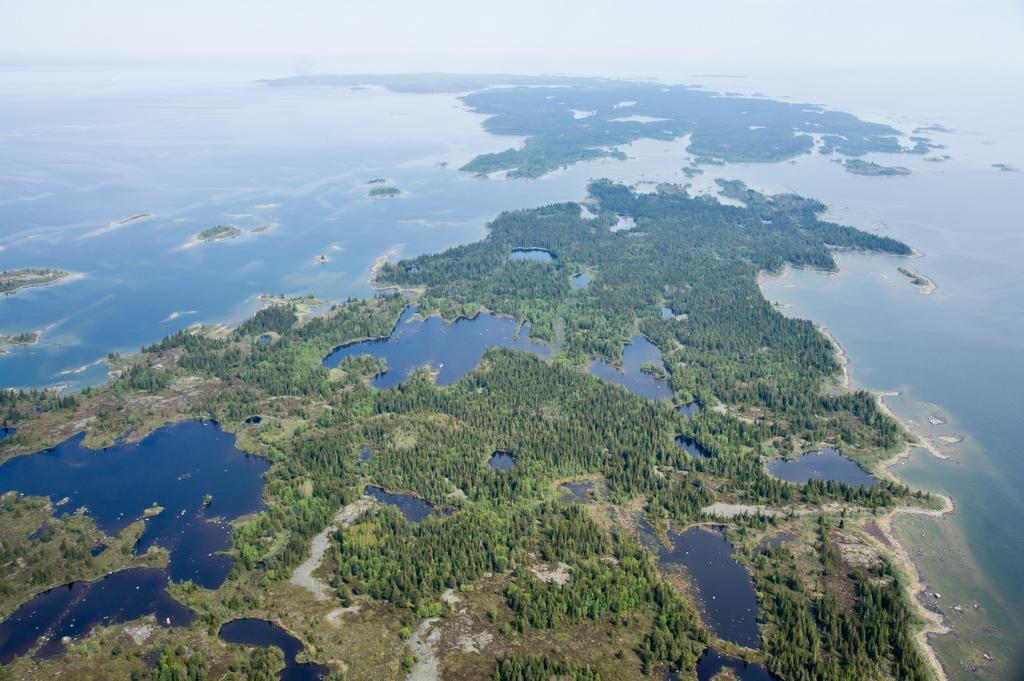 Särskilt bevarandeområde (SAC), särskilt skyddsområde (SPA) Övrigt skydd: