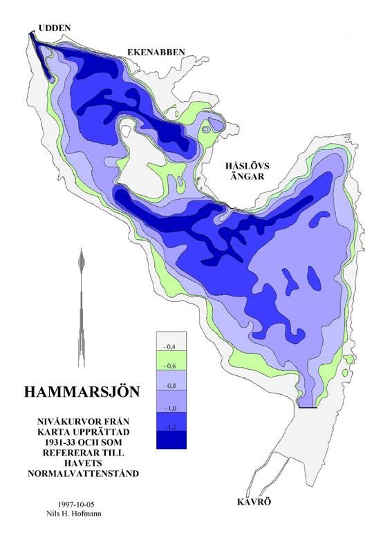 Figur 5. Djupkarta över Hammarsjön.