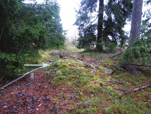 Den senast utförda undersökningen i närområdet genomfördes hösten 2007 i Södergårdens industriområde, ca 1,4 kilometer SSÖ om aktuellt utredningsområde.