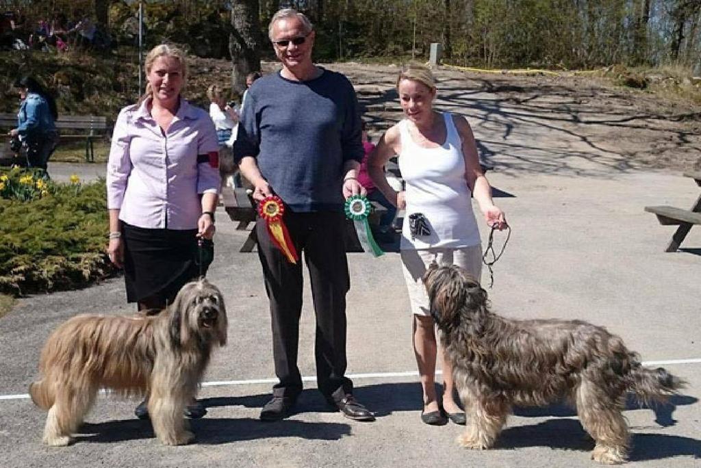 10/4 SGVK Varberg Domare: Anne Chatrine Edoff Öppenklass hanar Quim Del Somni Catala Very Good 1 Ökl Championklass hanar La Petit Rana's Ares De Xenia Excellent 1 Chkk Ck 1 Bhkl BIM Juniorklass tikar
