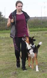 Oyster är en svart australian kelpie som är 8 år. Som ung var han väldigt krävande och jobbig, men efter ett par år lugnade han ner sig. Varför blev det en kelpie?