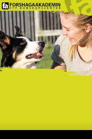 Skicka in krysset, eller en kopia, senast 30 november 2018 till: