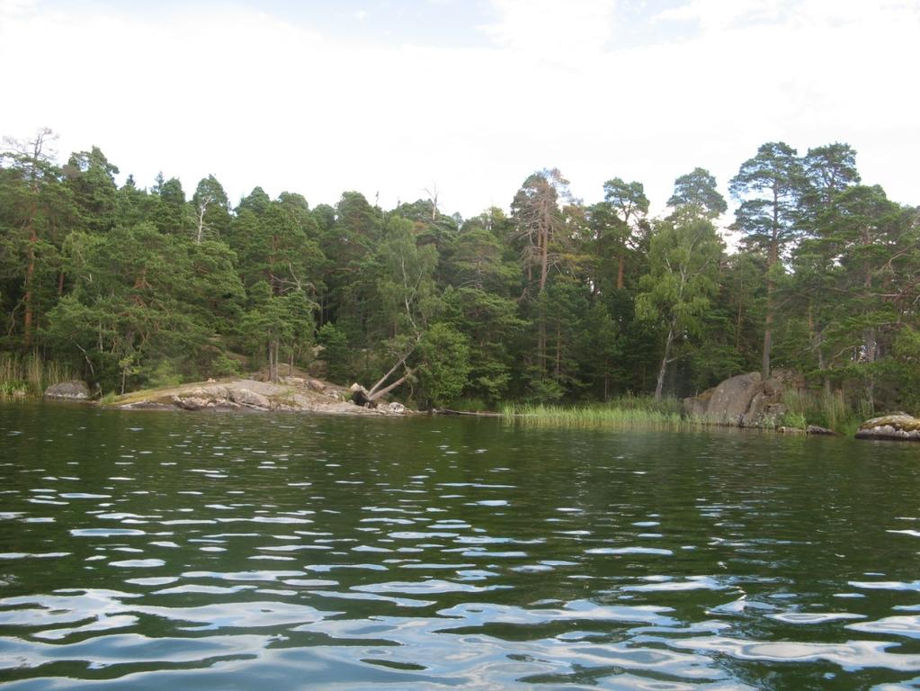 Lövsundsfjärden Delområdet Lövsundsfjärden inventerades 2012-07-20 och har inte inventerats tidigare med avseende på makrofyter.