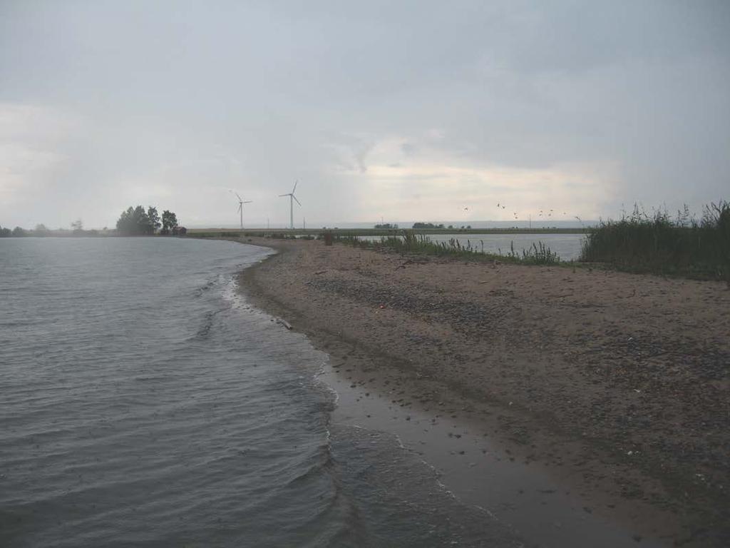 Erstadviken, Visingsö Delområdet Erstaviken, Visingsö inventerades 2013-07-30 och har inte inventerats tidigare med avseende på makrofyter.
