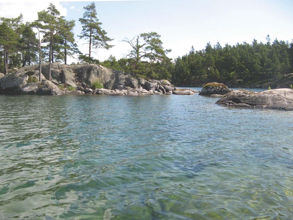 Ombo öar Delområdet Ombo Öar inventerades 2014-07-02 och har inte inventerats tidigare med avseende på makrofyter.