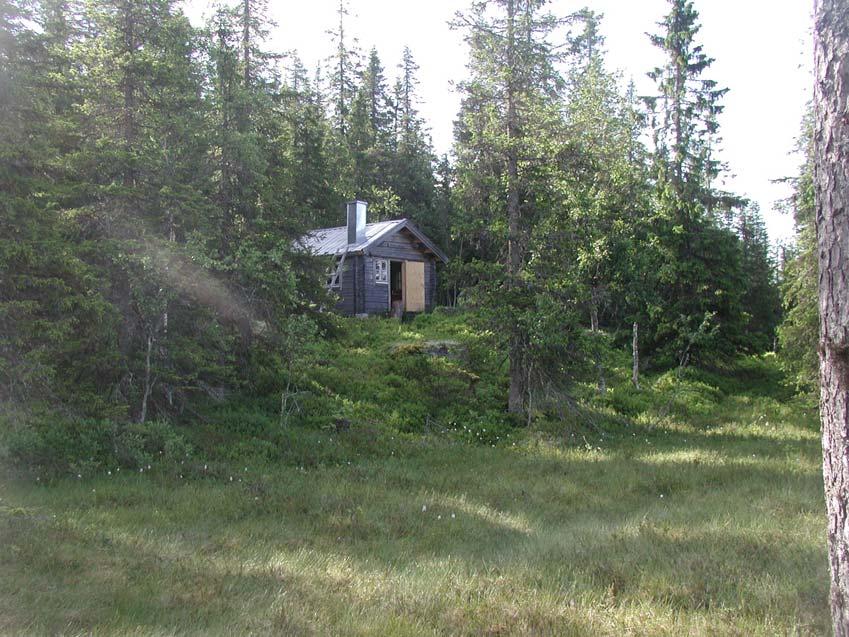 Bevarandeplan Natura 2000 Kålhuvudet SE0710077 Namn: Kålhuvudet