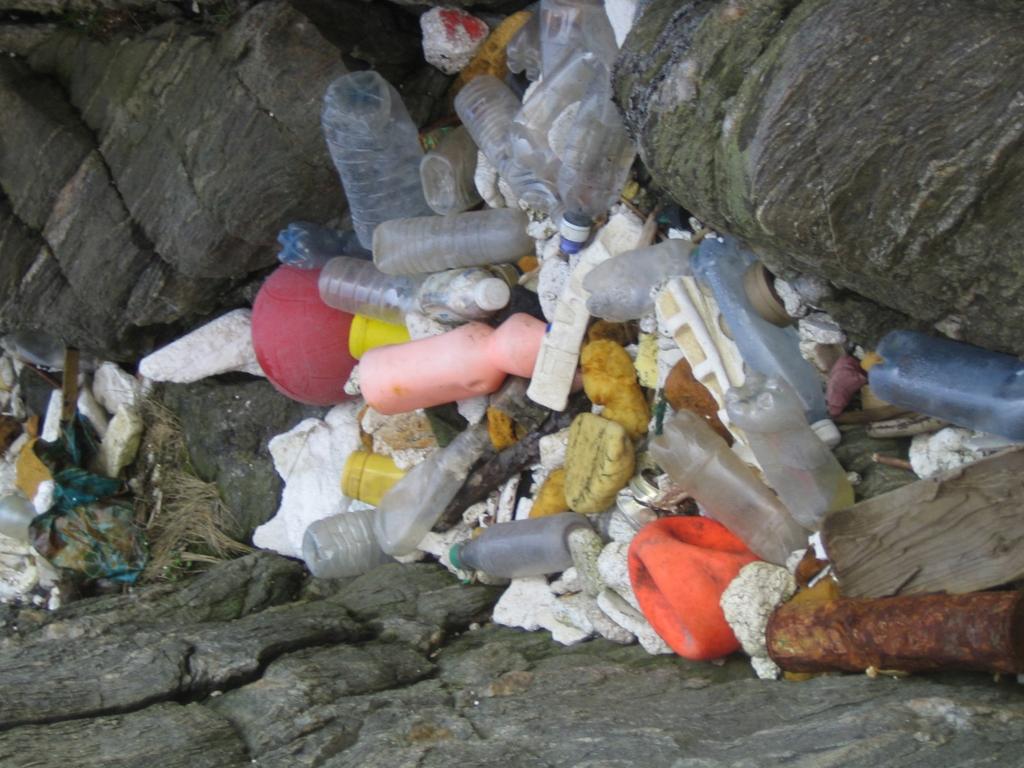 delfinansierats av Ren Kustlinje. Ersättning till respektive förening sattes till 5000 kronor och det strandavsnitt som de fått ansvar för anpassades efter detta (3,5-7 km per grupp).
