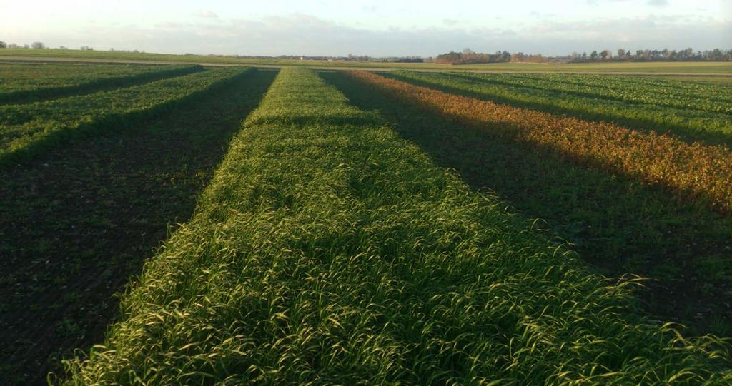 Demofält Smart-Tillage Borgeby Fältdagar 2017