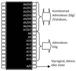 Skrivcykel, synkron buss Exempel Vi har ett synkront system med 16 bitars adressbuss och 8 bitars databuss. Data klockas i systemet vid negativ flank hos signalen E. E 1.