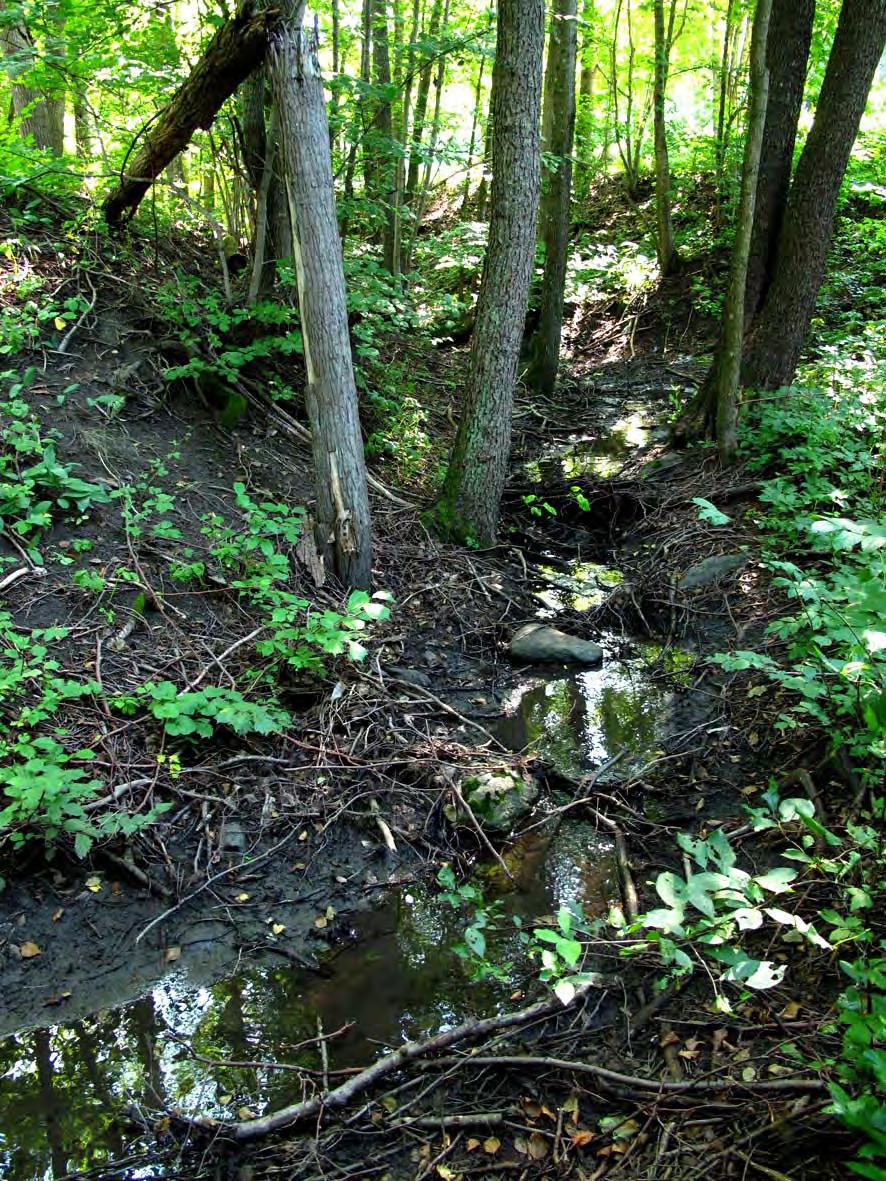 PM, Kompletterande naturoch kulturmiljöutredning, Sätraskogens naturreservat Figur 3.