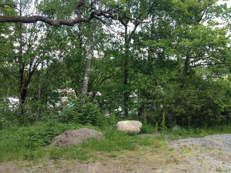 PM, Kompletterande naturoch kulturmiljöutredning, Sätraskogens naturreservat Figur 10.